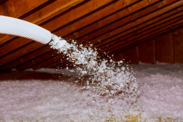 Best Insulation Materials and Products in Beardstown, IL