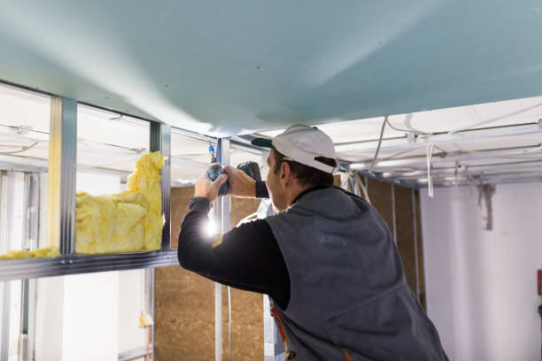 Best Insulation Maintenance and Repair in Beardstown, IL