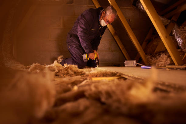 Best Insulation Maintenance and Repair in Beardstown, IL